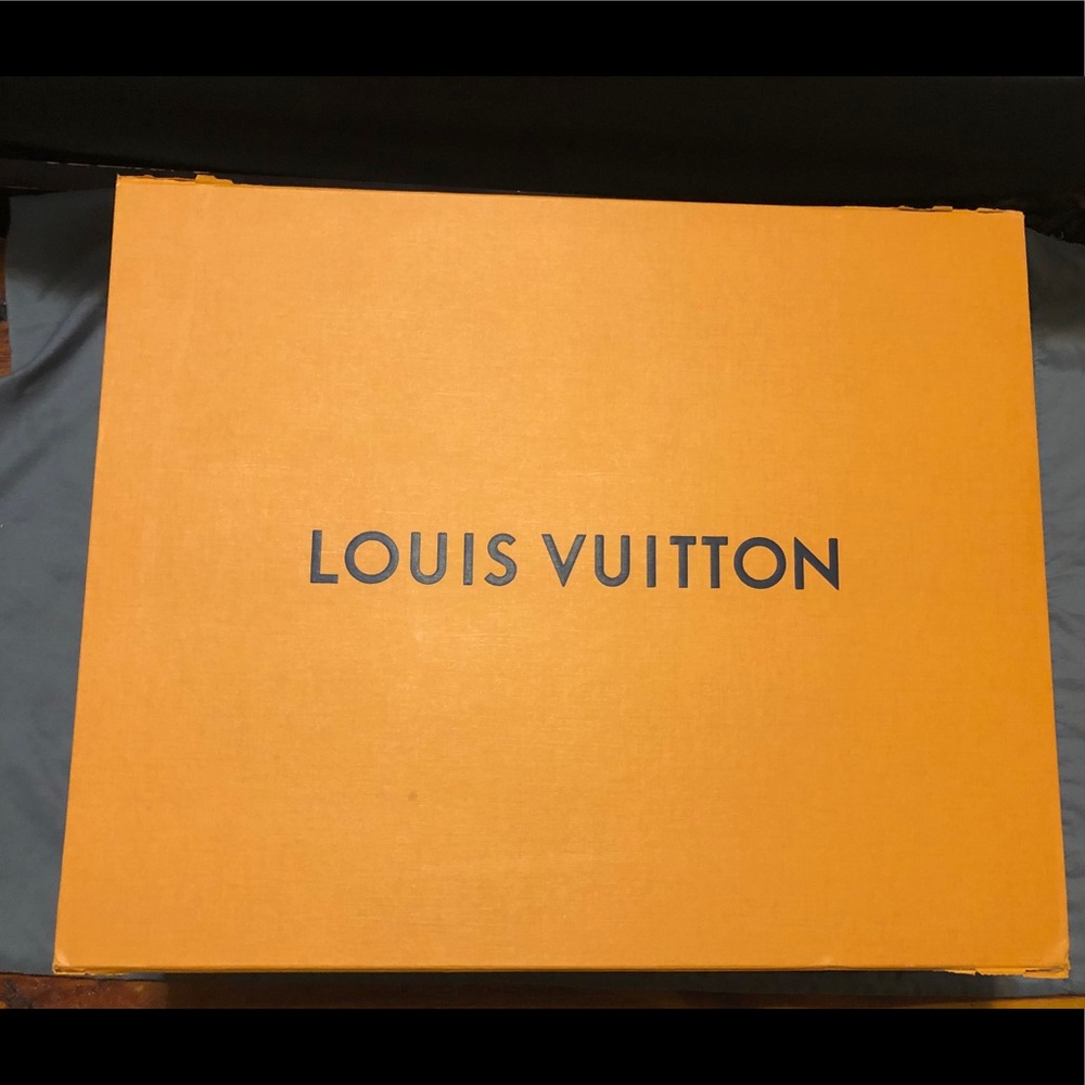Louis Vuitton Large Storage Box